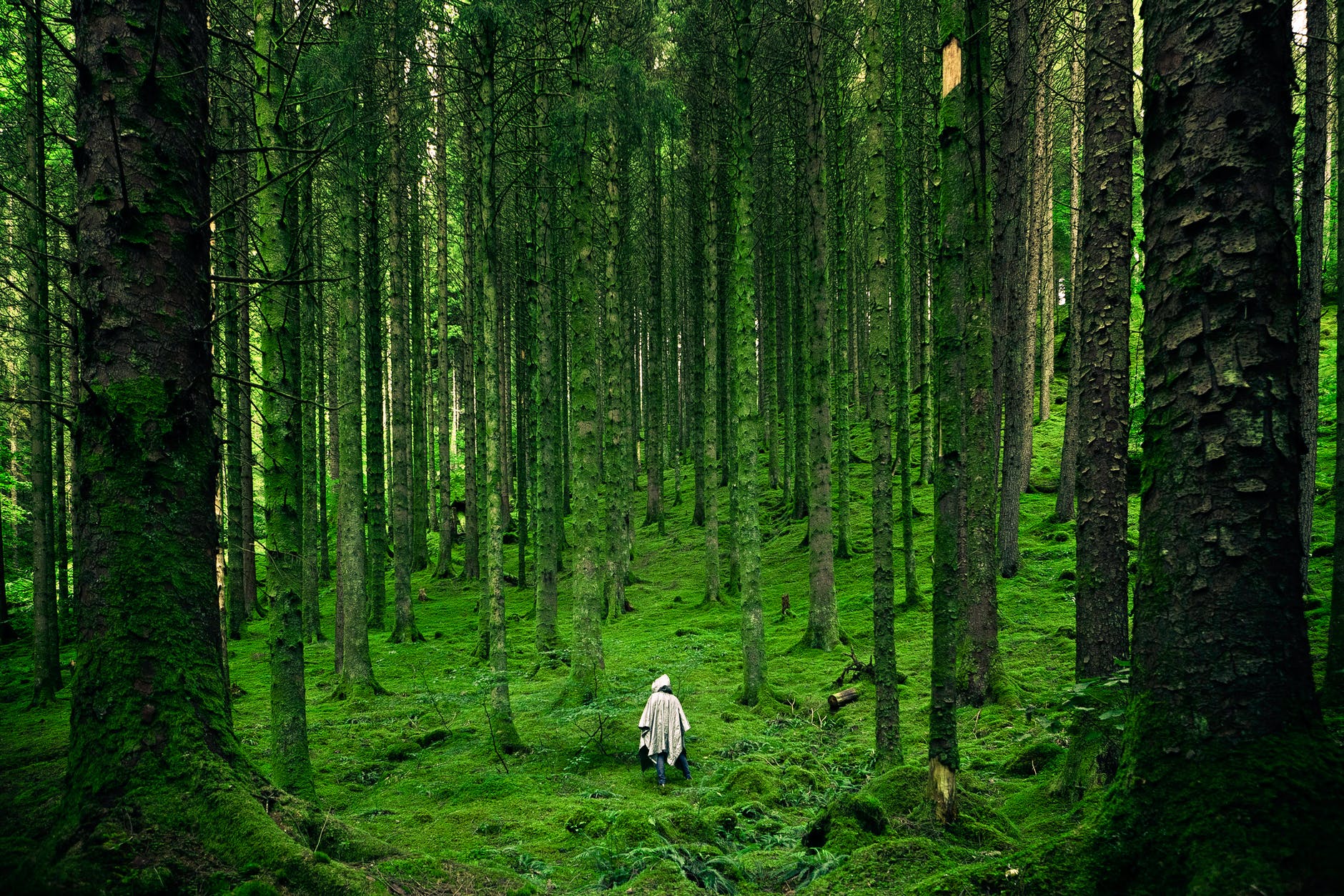 The Benefits Of Being In Nature