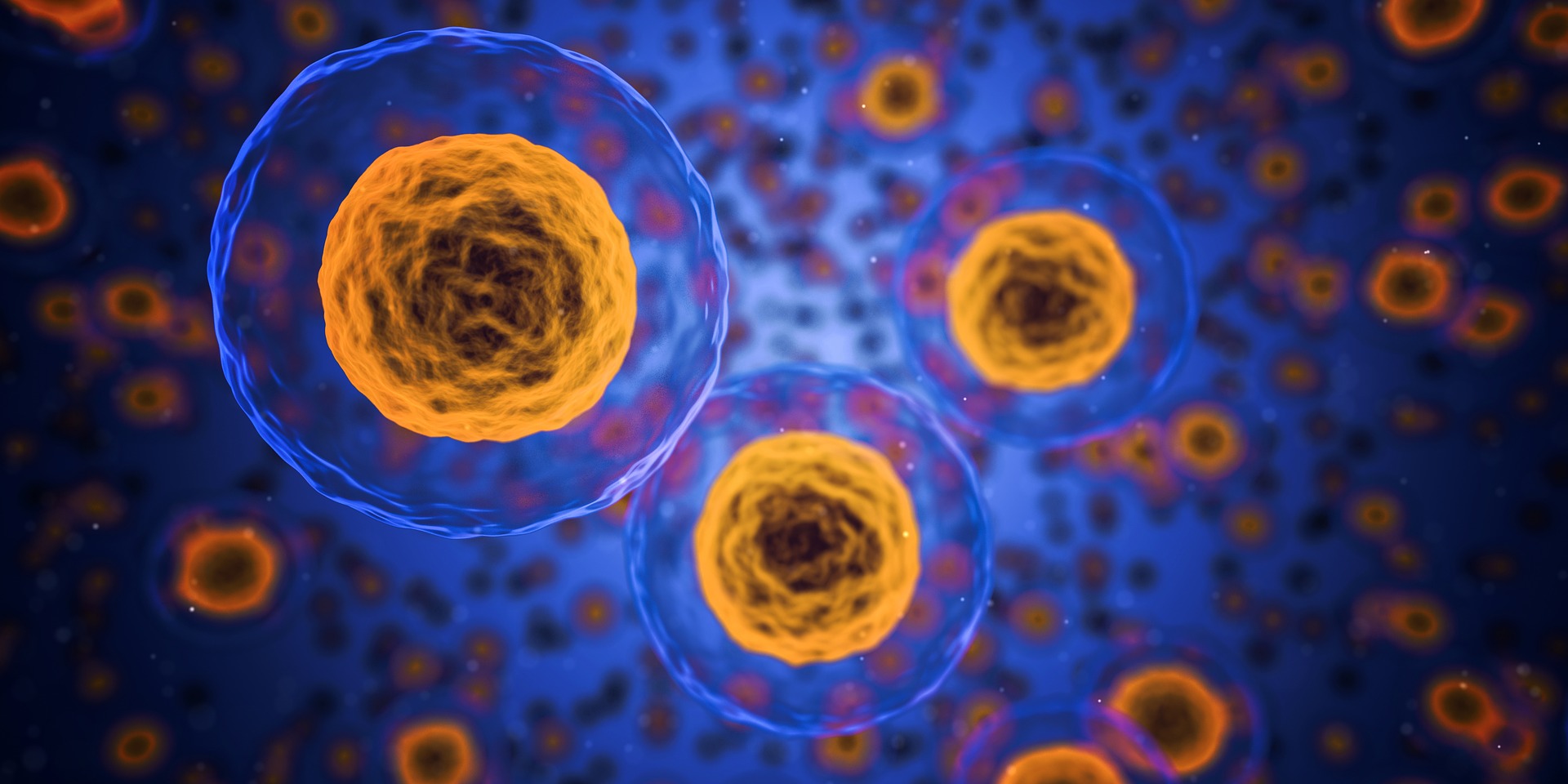 The Effects of Diet and Exercise on Aging on a Molecular Level