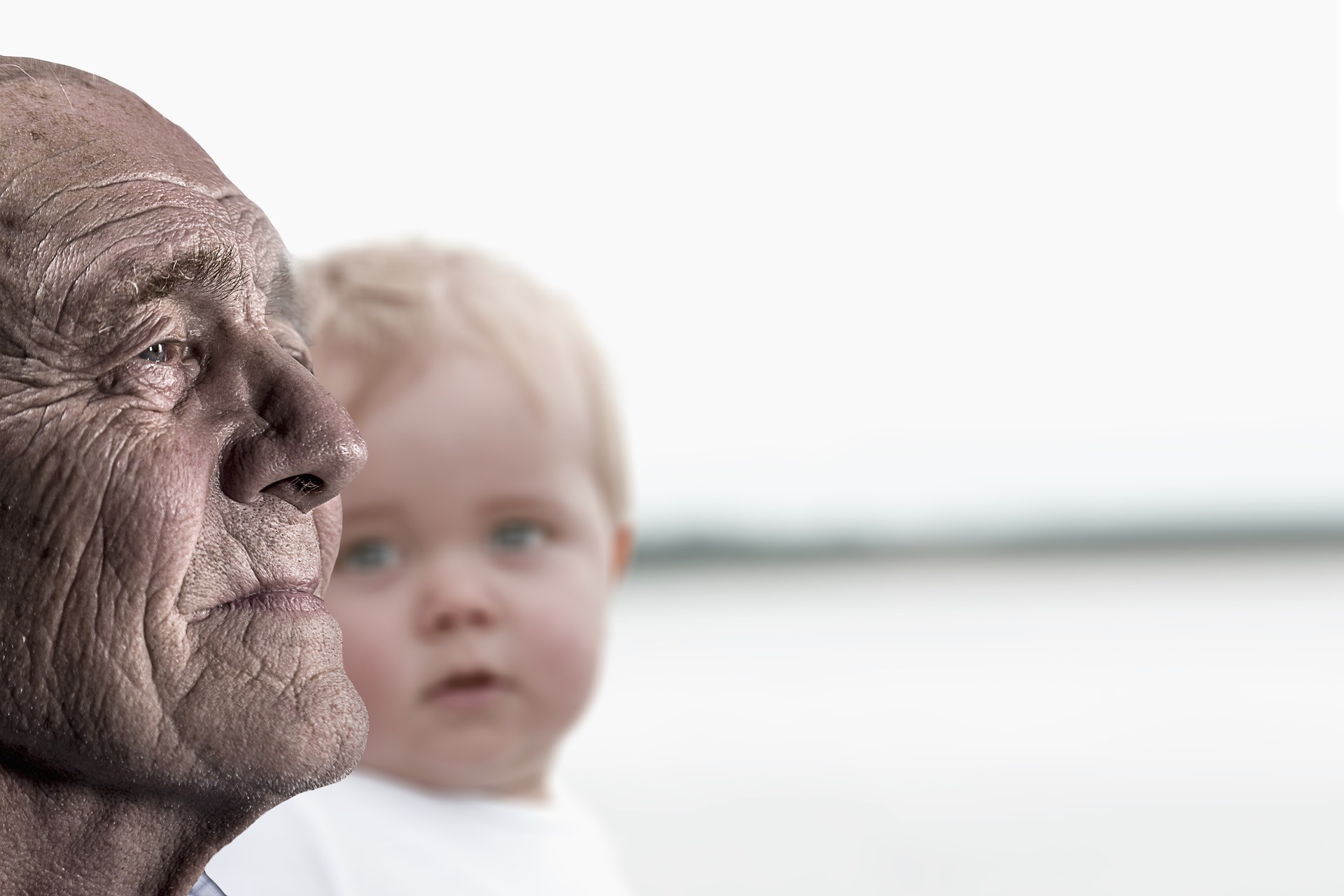 Is a Healthy Immune System the Key to Living Past 100?