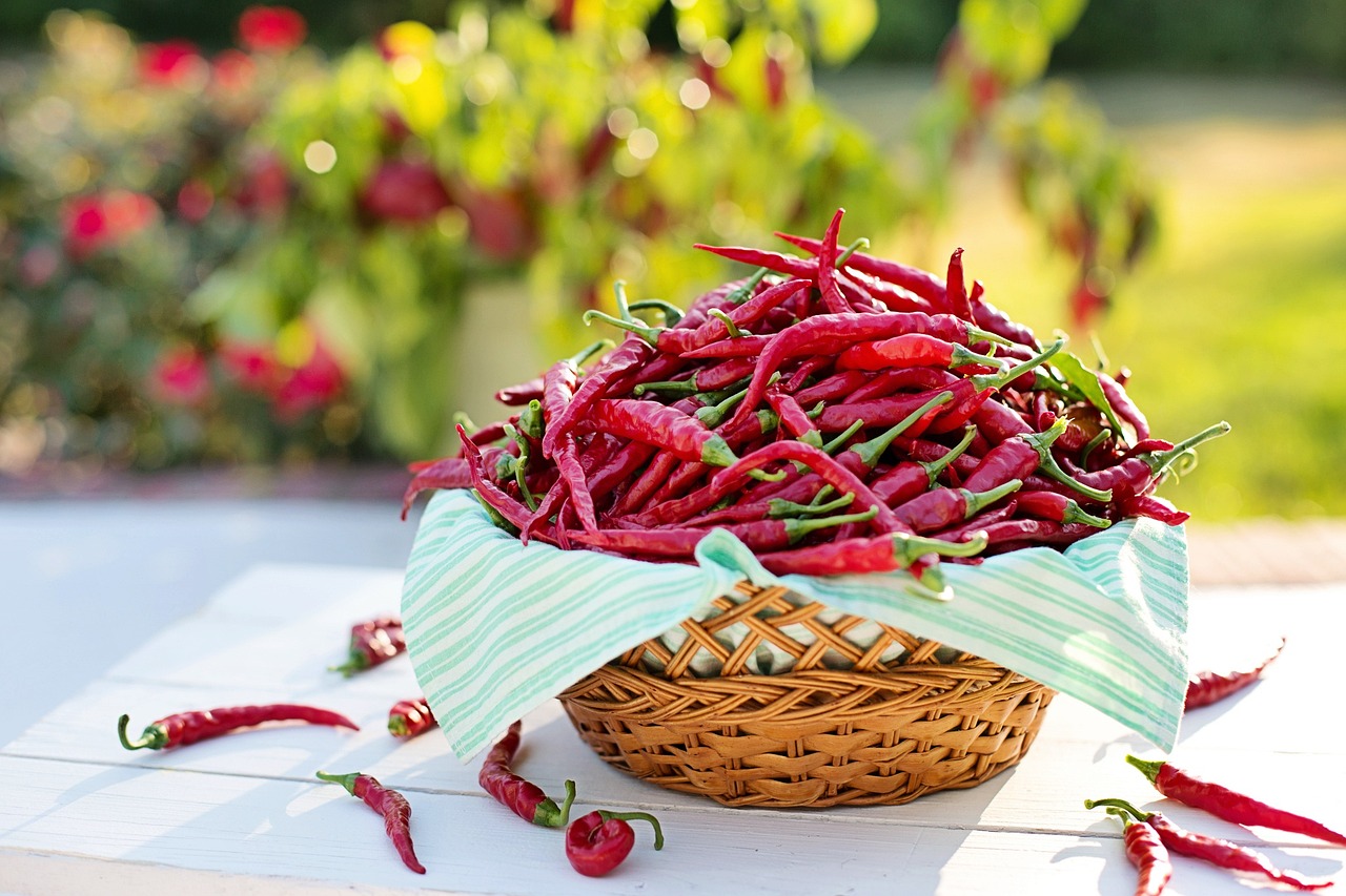 Add Some Spice to Your Life: The Chili Pepper—Longevity Connection